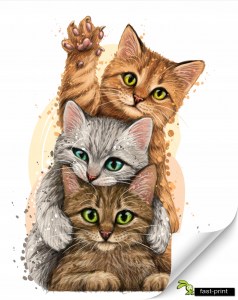 Fototapeta-3d-na-Wymiar-dla-Dzieci-KOTKI-Winylowa-Laminowana